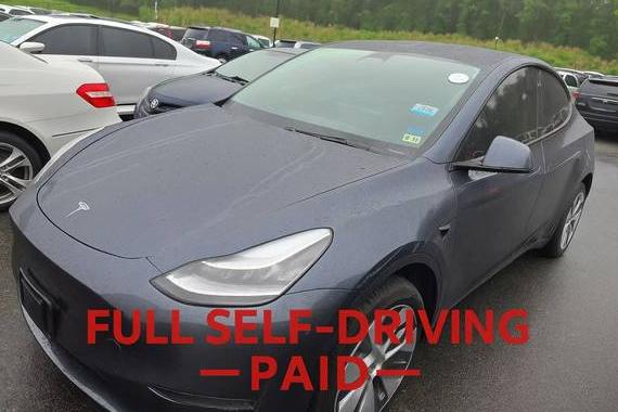 TESLA MODEL Y 2020 5YJYGDEE5LF039182 image